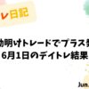 夜勤明けトレードでプラス発進｜2022年6月1日のデイトレ結果